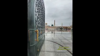 الشيخ مصطفى جمال رياح الشوق بتوزيع مختلف  الشيخ مصطفى جمال رياح الشوق بتوزيع مختلف
