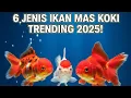 Lagu 6 Jenis Ikan Mas Koki Terbaru yang Lagi Trending! Simak Harganya di Sini!