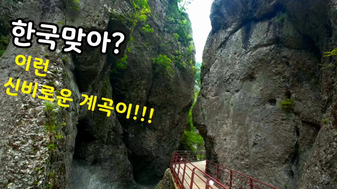관련 영상 썸네일