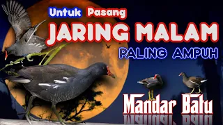 suara mandar peruk pelan untuk pasang jaring malam paling jitu suara terbaru 2023 paling ampuh 