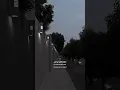 Download Lagu El Wattar El Hassas || Arabic Song || Viral Tiktok || English Translation || Reposting  ( not mine)