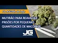 Download Lagu Mutirão para reavaliar prisões por pequenas quantidades de maconha – Jornal da Gazeta – 30/06/2025