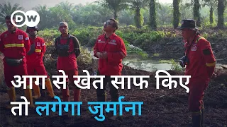 इंडोनेशिया: काटने-जलाने वाली खेती से जंगलों पर संकट [Indonesia's battle with slash and burn farming]