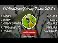 10 Masteran Burung Juara 2023