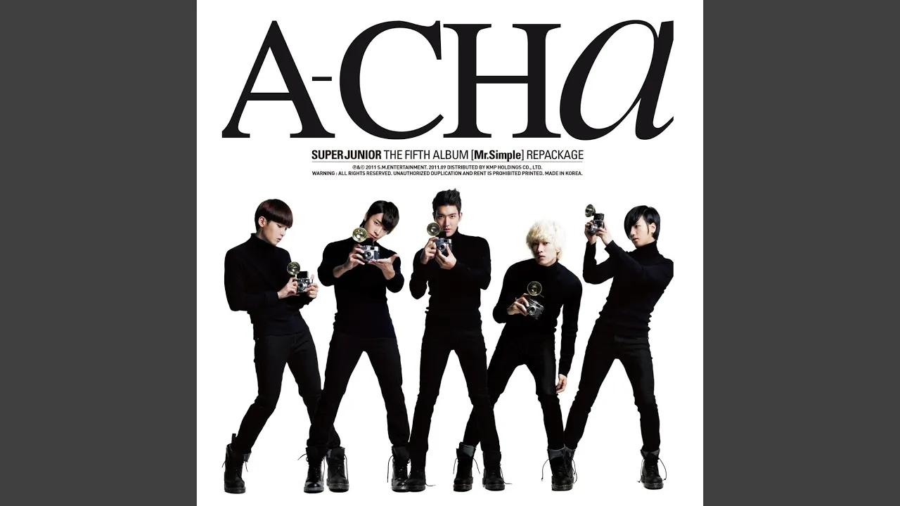 Mr. Simple Mr. Simple