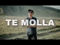 Te molla - rosie sd