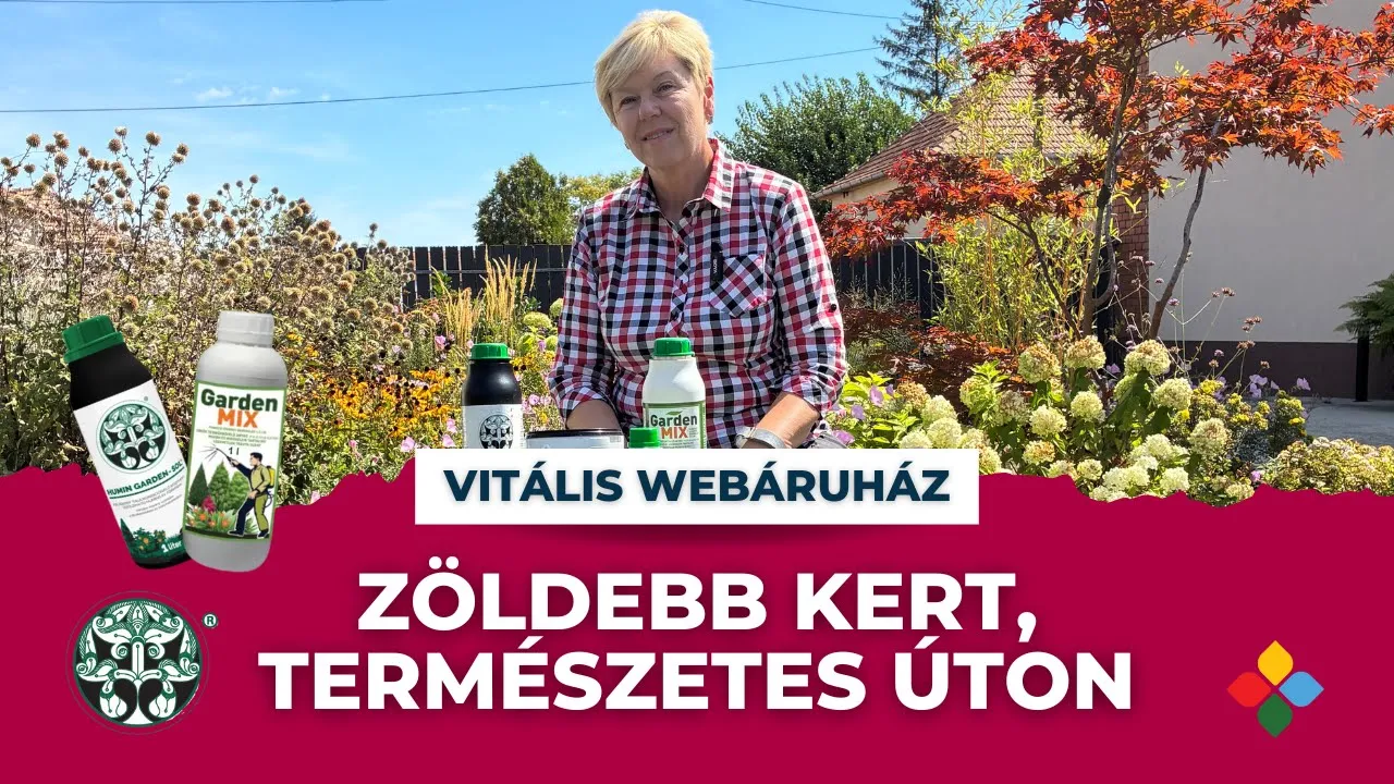 Füvesasszony