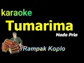 Download Lagu TUMARIMA - KARAOKE NADA PRIA | ADE ASTRID