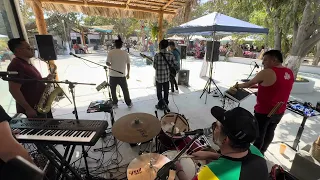 jamming bob marley tribute 2025