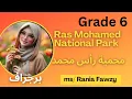 Download Lagu برجراف (Ras Mohamed National Park ) محمية رأس محمد grade 6) 2026) الوحدة الثانية بطريقة سهلة جداً