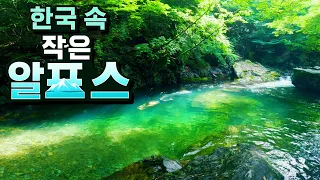 [수심 3.1m] 여기가 한국의 알프스? 평창 흥정계곡, 더위를 잊은 날 썸네일