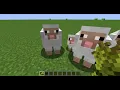 Taming a sheep