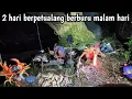 Download Lagu 2 hari berpetualang berburu ikan \u0026 kepiting sungai Kalimantan 