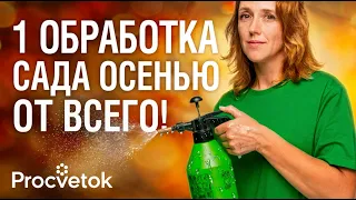 ВСЕМ ДЕРЕВЬЯМ ЭТО НУЖНО КАК ВОЗДУХ ОСЕНЬЮ! Главная обработка и подкормка плодового сада