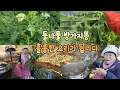 어마무시한 들나물 방가지똥을 아시나요 방가지똥으로 푸짐한 요리합니다