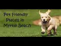 Pet Friendly in the Myrtle Beach area