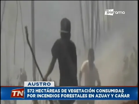 572 hectáreas de vegetación consumidas por incendios forestales en Azuay y Cañar