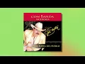 Joan Sebastian - Así Te Quiero (Audio Oficial)