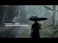 100% Authentic! Real Rain & Thunder Along Tropical Forest Road ⛈️ (No Ads) | Sleep Instantly