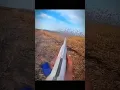 Download Lagu 1,000+ Snow Geese Roost Jump – Solo Hunt Madness! #chasse #birdhunting #goosehunt #duckhunt #eese