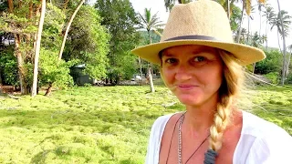 SSL 220 ~ Just stick something in the hole…  (FULLY EXTENDED VERSION)