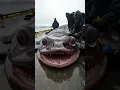 Lagu Terrifying Discovery: Fishermen Catch a Beast from the Abyss