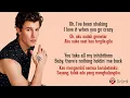 Download Lagu There’s Nothing Holdin’ Me Back - Shawn Mendes (Lirik Lagu Terjemahan)