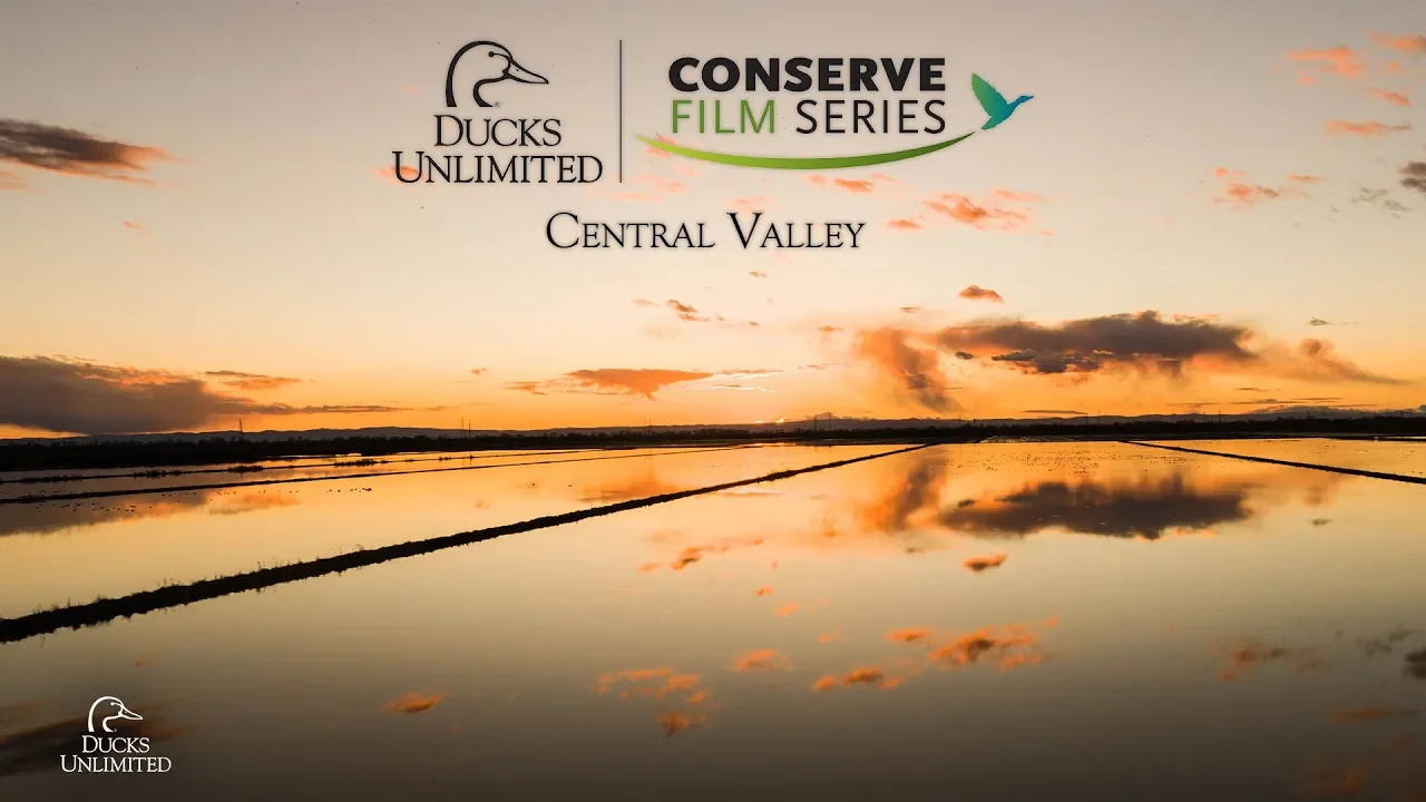 DU Conserve: Central Valley
