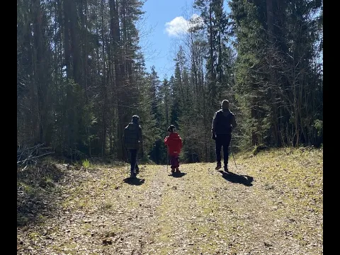 4 reasons to live in Estonia