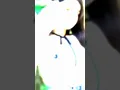Download Lagu LAGU DJ DARLING OHAYO YAMETE KUDASAI VIRAL TIKTOK YANG KALIAN CARI ['-'!