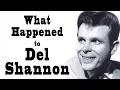What Happened to DEL SHANNON