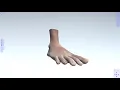 Unity WebGL Player LayerBodyViewer