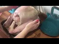 Turkey Cooking Guide for Christmas - Stuffed Turkey