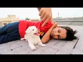 Download Lagu Piyush Ko Kaat Liya 🤣