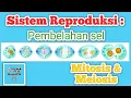 Download Lagu Pembelahan Sel Mitosis dan Meiosis : Sistem Reproduksi Manusia