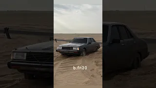 هبه مسعود لا فودكا ولا وسكي سهره قديمه معربا سوريا دندنها