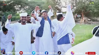 جنون الوتر رحلة الفيلة 