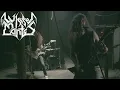Download Lagu WHITE MANTIS - \