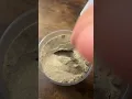 Download Lagu Yum yum crunch.. who wants a scoop? Sand crunch #asmr #pica #sand #sandeating
