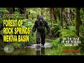 WHERE BIGFOOT ENTERED IS WHERE I LL SEARCH S1 Episode 2