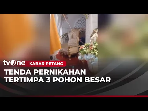 Pohon Tumbang Timpa Tenda Resepsi, Orang Tua Pengantin Tewas