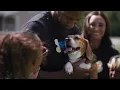 ASPCA Public Service Award Logan Ryan