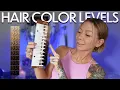 hair color levels tones explained 2024
