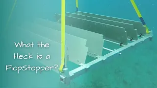 The FlopStopper Roll Reducer