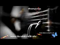Download Lagu Story wa - Story wa islami - Story islami 30 detik - Status wa islami 30 detik - Story wa 30 detik