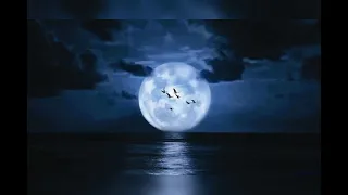 عندما يأتي المساء عبد الوهاب  عندما يأتي المساء عبد الوهاب