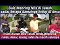 Download Lagu Bule mancing nila di sawah, sadar betapa damainya hidup di desa