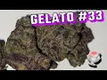 Gelato 33 Strain Review Is This the OG Zaza