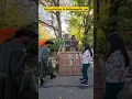Download Lagu Halloween Fun Activities in zoo 🎃 #halloween #zoo #fun #action #usa