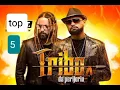 Lagu 💥top  5  melhores   da  Tribo da Periferia